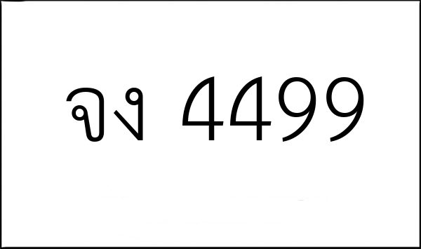 จง 4499